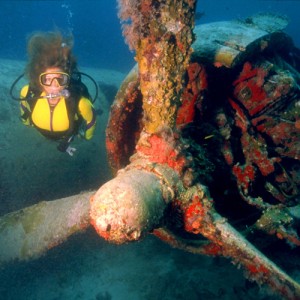 Wreck Diving